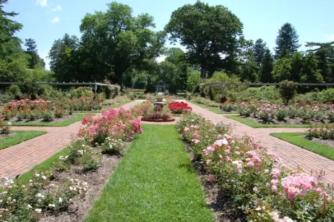 Colonial Park1