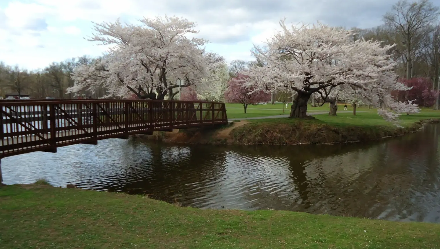 Union County 24 Rahway River Parkway