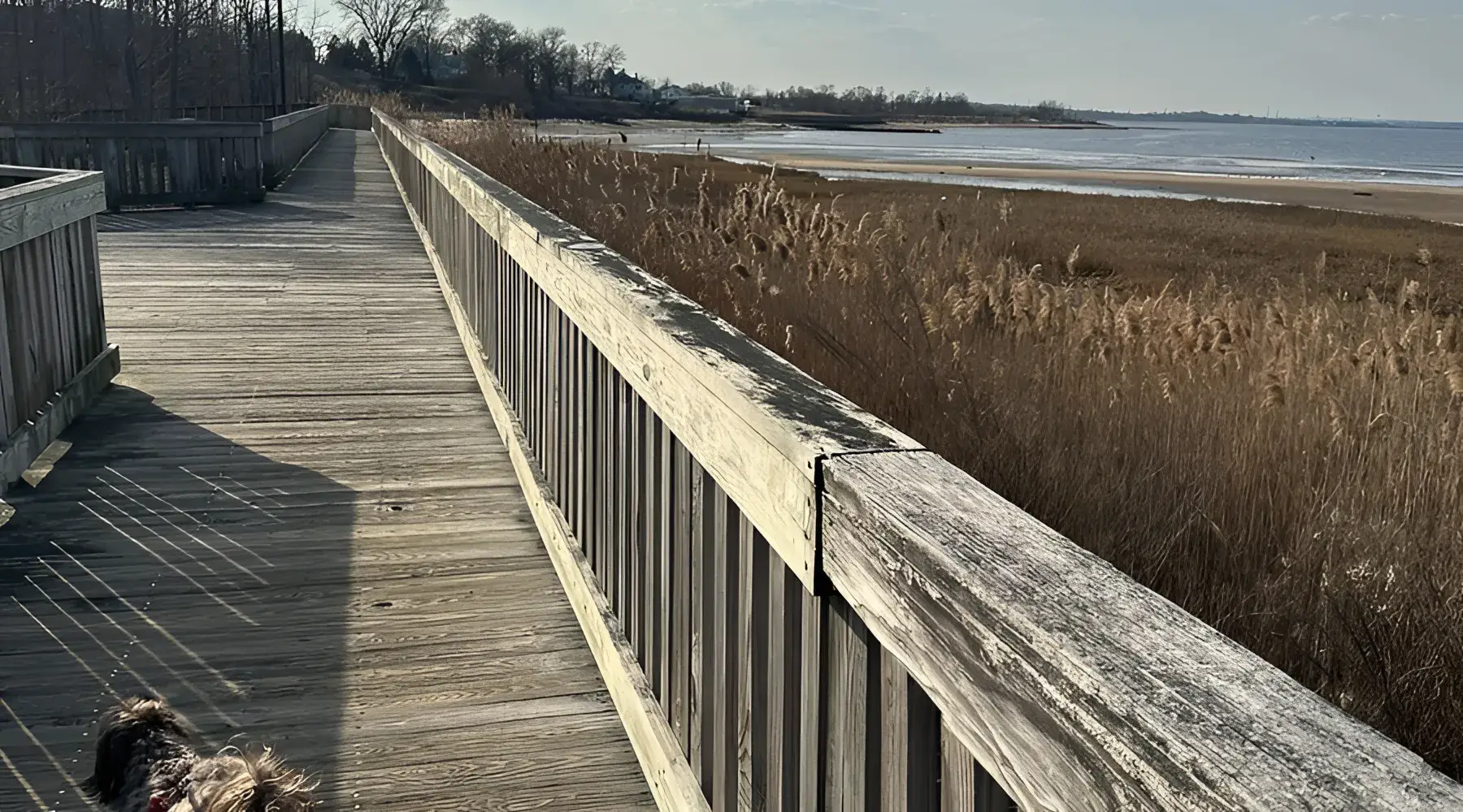 Sayreville, NJ 27 Old Bridge Waterfront Park