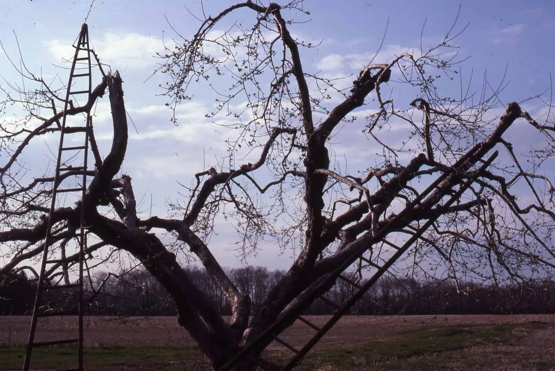 Terhune Orchards in Mercer County
